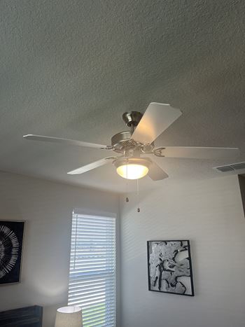 Lighted ceiling fans